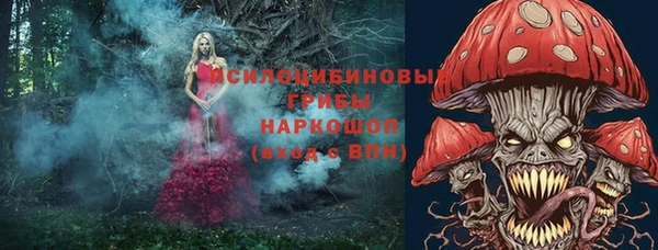 соль ск Абаза
