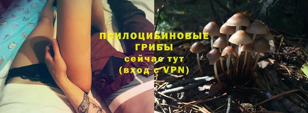 стаф Абдулино
